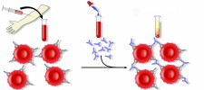 Direct antiglobulin test