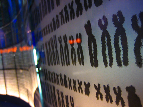 chromosomes chromosomes Cytogenetics quiz
