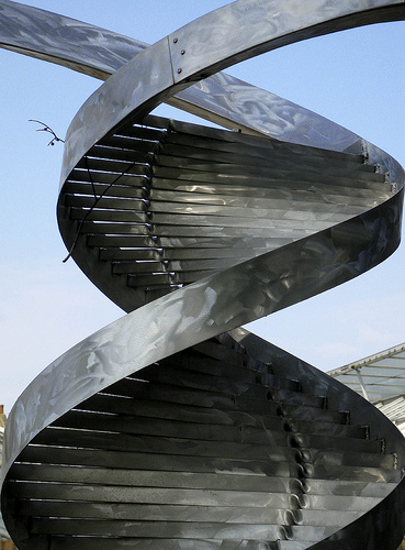 DNA