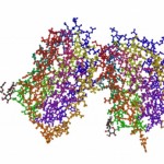 cytokines