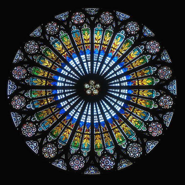 Notre-Dame rose window Rose The four main types of rosettes in pathology