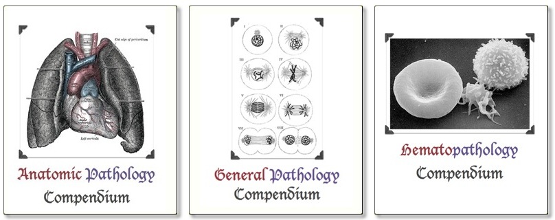 Compendia trio Compendia trio1 Compendia