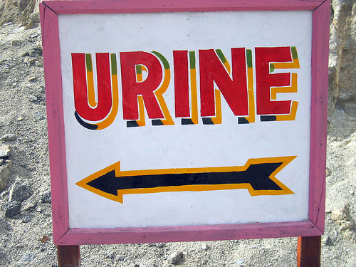 Urine How do renal diseases present?